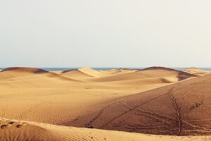 dunes wilderness travel